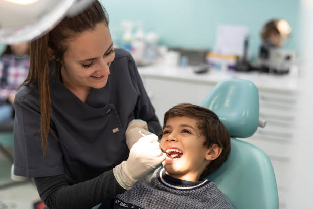 Best Emergency Orthodontic Services in Webberville, MI