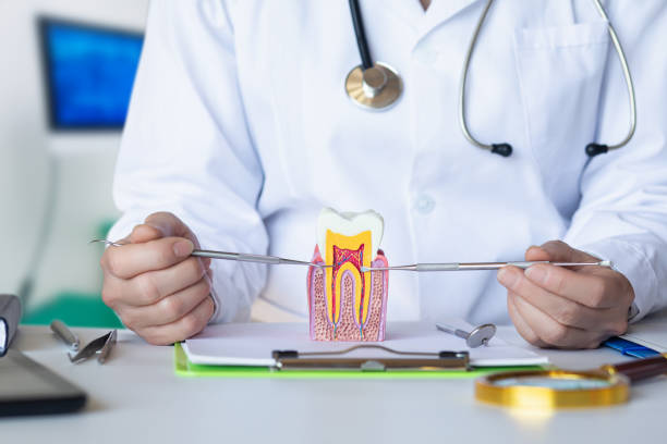 Best Emergency Tooth Extraction in Webberville, MI